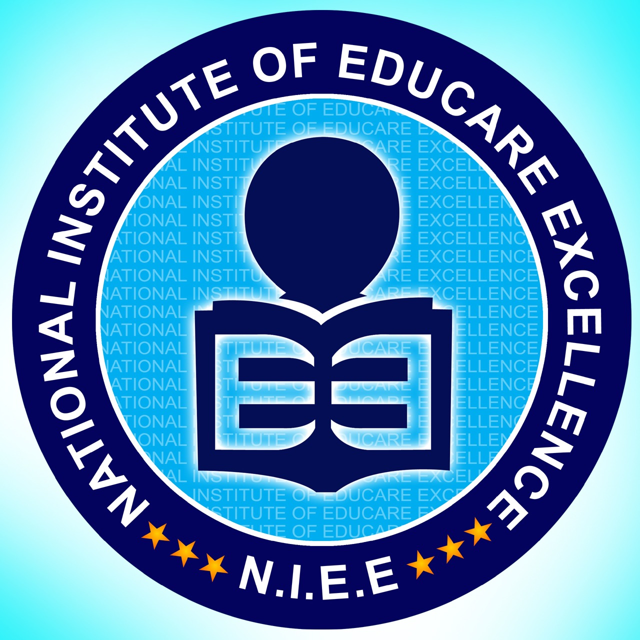 NIEE Logo